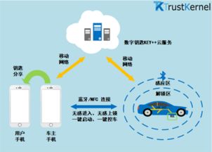 特斯拉引领数字钥匙革命 智能出行的未来与上海信息服务的燃眉之急